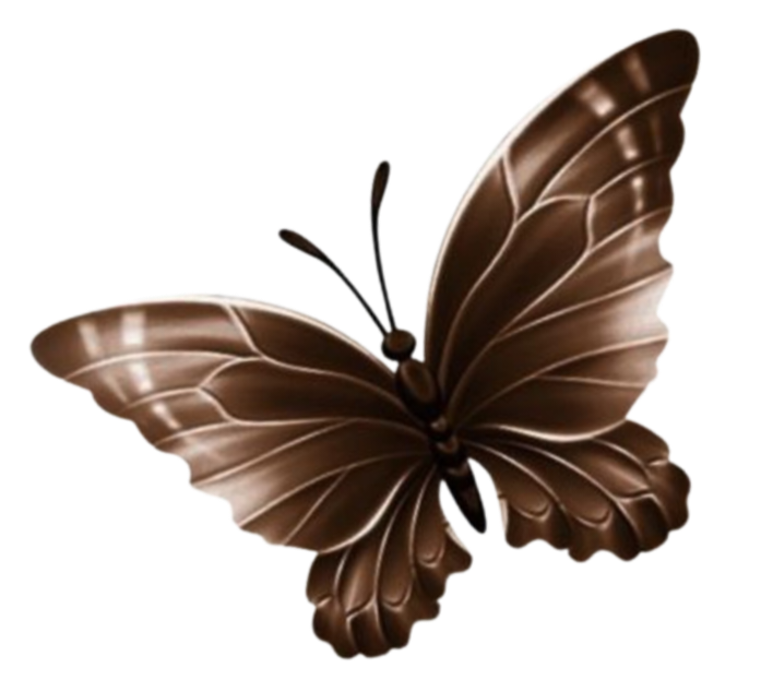 Kupu-kupu